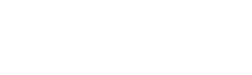 Logonit